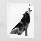 Schwarz-weiß Howling Wolf Postkarte (Vorne/Hinten)