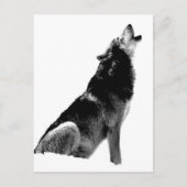 Schwarz-weiß Howling Wolf Postkarte (Vorderseite)