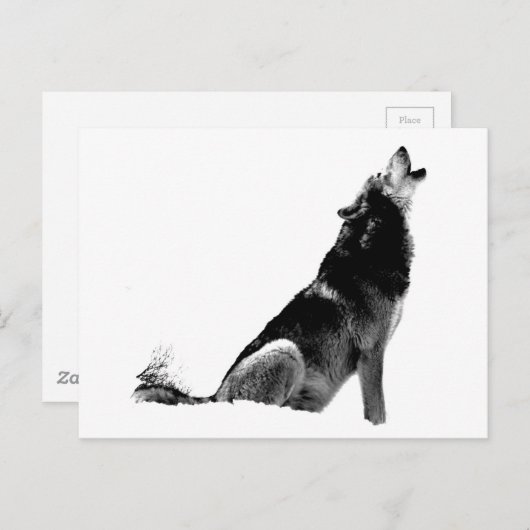 Schwarz-weiß Howling Wolf Postkarte (Vorne/Hinten)