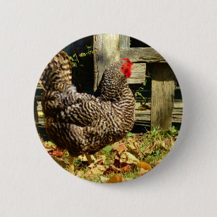 Schwarz-Weiß-Huhn Button