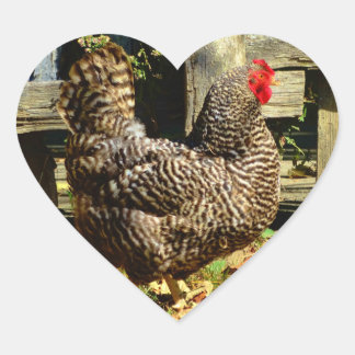 Schwarz-Weiß-Huhn Herz-Aufkleber