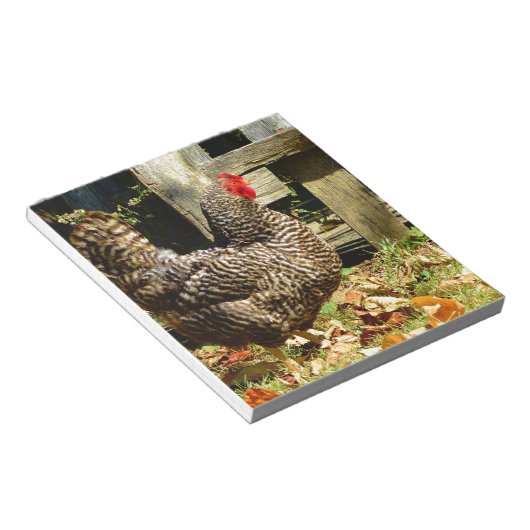 Schwarz-Weiß-Huhn Notizblock (angewinkelt)