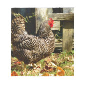 Schwarz-Weiß-Huhn Notizblock (Vorderseite)