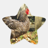 Schwarz-Weiß-Huhn Stern-Aufkleber (Vorderseite)