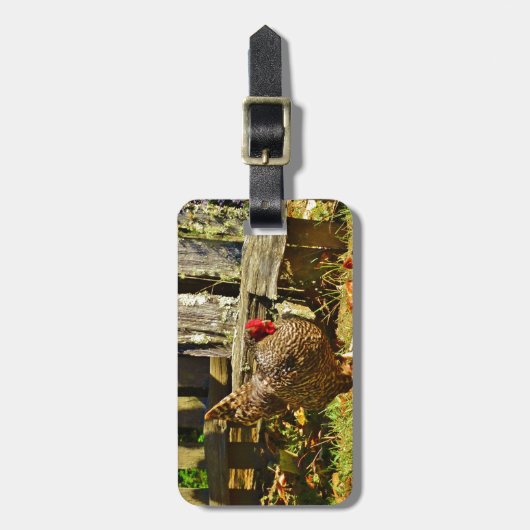 Schwarz-Weiß-Hühner im Bauernhof Gepäckanhänger (Vorderseite vertikal)