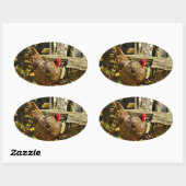 Schwarz-Weiß-Hühner im Bauernhof Ovaler Aufkleber (Blatt)