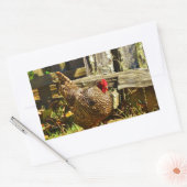 Schwarz-Weiß-Hühner im Bauernhof Rechteckiger Aufkleber (Umschlag)