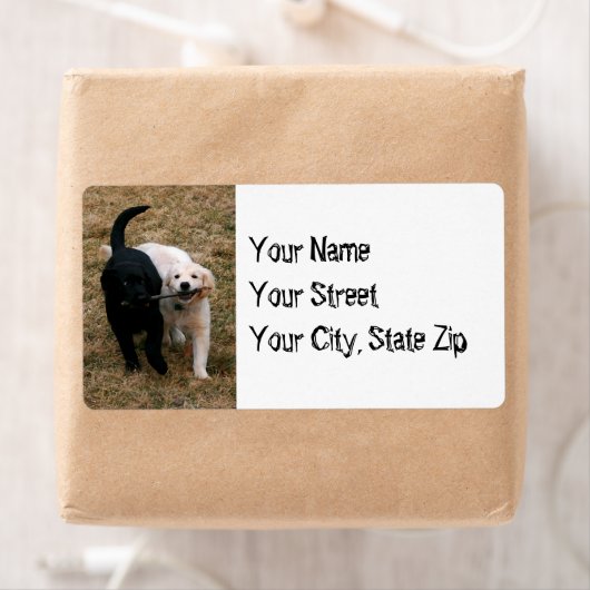 Schwarz-Weiß-Hunde mit Anschriften (Insitu)