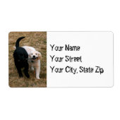 Schwarz-Weiß-Hunde mit Anschriften (Vorne)