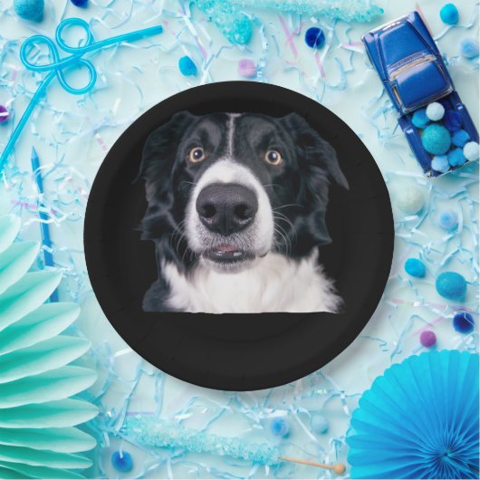 Schwarz-Weiß-Hundegesicht Pappteller (Party)