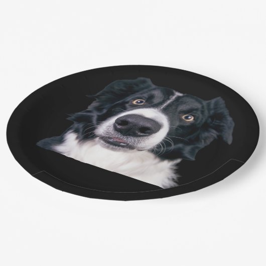 Schwarz-Weiß-Hundegesicht Pappteller (Schrägansicht)