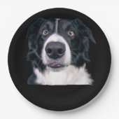 Schwarz-Weiß-Hundegesicht Pappteller (Vorderseite)