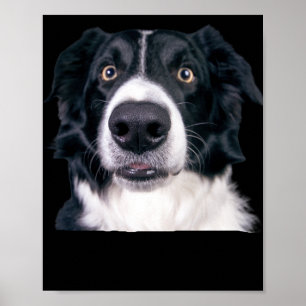 Schwarz-Weiß-Hundegesicht Poster