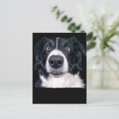 Schwarz-Weiß-Hundegesicht Postkarte (Stehend Vorderseite)