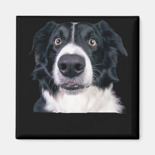 Schwarz-Weiß-Hundgesicht Magnet