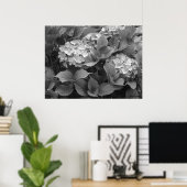 Schwarz-Weiß-Hydrangeas Poster (Heimbüro)
