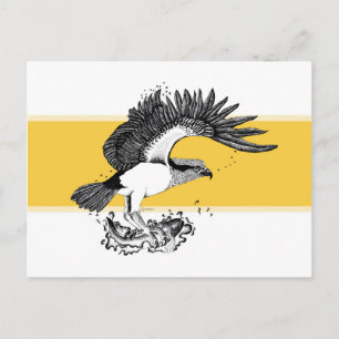Schwarz-weiß-Illustration eines Fischadlers Postkarte