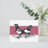 Schwarz-Weiß-Illustration von Magpies Postkarte (Stehend Vorderseite)