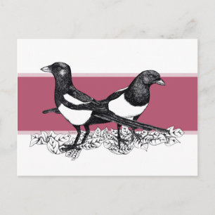 Schwarz-Weiß-Illustration von Magpies Postkarte