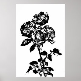 Schwarz-Weiß-Illustrierte Rose Art Poster
