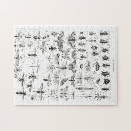 Schwarz-Weiß-Insekten-Bugs-Papiertüte Puzzle (Horizontal)