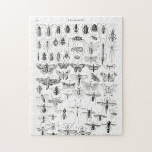 Schwarz-Weiß-Insekten-Bugs-Papiertüte Puzzle