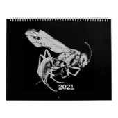 Schwarz-Weiß-Insekten im minimalistischen Stil - B Kalender (Titelbild)