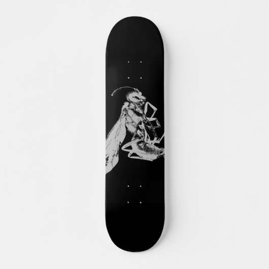 Schwarz-Weiß-Insekten im minimalistischen Stil Skateboard (Vorne)
