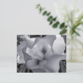 Schwarz-Weiß-Iris-Postkarte Postkarte (Stehend Vorderseite)