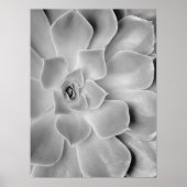 Schwarz-Weiß-Kakteen Art Poster (Vorne)