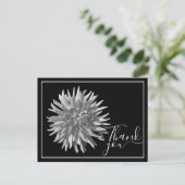 Schwarz/Weiß Kaktus Dahlia Schwarz Hintergrund Vie Postkarte (Stehend Vorderseite)