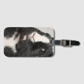 Schwarz-Weiß-Kaninchen Gepäckanhänger (Vorderseite (Horizontal))