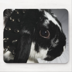 Schwarz-Weiß-Kaninchen mit gestumpftem Halsband Mousepad