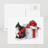 Schwarz-Weiß-Kätzchen mit Geschenkboxen Postkarte (Vorne/Hinten)