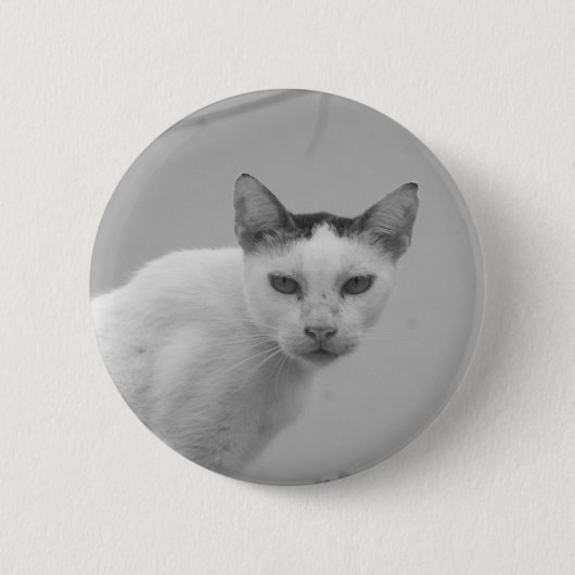 Schwarz-Weiß - Katze 02 Button (Vorderseite)