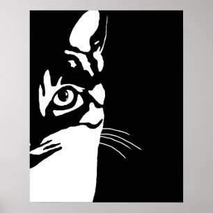Schwarz-Weiß-Katze 657 Poster