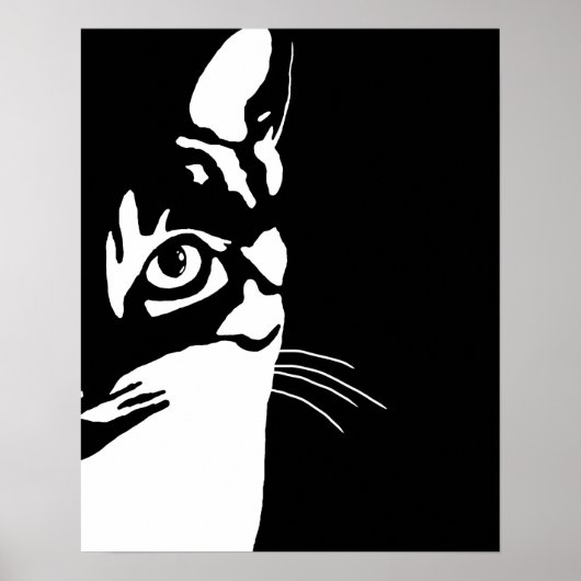 Schwarz-Weiß-Katze 657 Poster (Vorne)