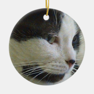 Schwarz-Weiß-Katze auf Keramik Ornament