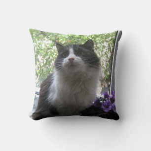 Schwarz-Weiß-Katze, Blume. Kissen