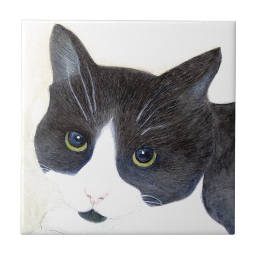 Schwarz-weiß-Katze Fliese (Vorderseite)