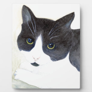 Schwarz-Weiß-Katze Fotoplatte
