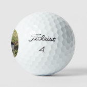 Schwarz-Weiß-Katze im Garten, Golfball (Logo)