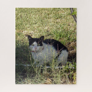 Schwarz-Weiß-Katze im Garten, Puzzle