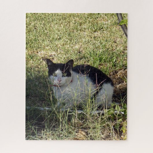 Schwarz-Weiß-Katze im Garten, Puzzle (Vertikal)