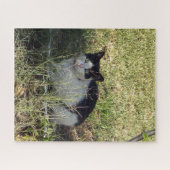 Schwarz-Weiß-Katze im Garten, Puzzle (Horizontal)