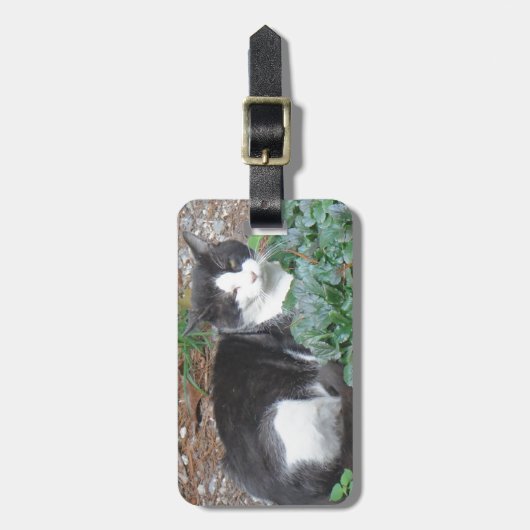 Schwarz-Weiß-Katze im Grünen Gepäckanhänger (Vorderseite vertikal)