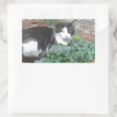 Schwarz-Weiß-Katze im Grünen Rechteckiger Aufkleber (Tasche)