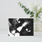 Schwarz-Weiß-Katze nah Postkarte (Stehend Vorderseite)