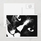Schwarz-Weiß-Katze nah Postkarte (Vorne/Hinten)