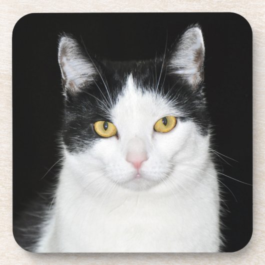 Schwarz-Weiß-Katze-Portrait Getränkeuntersetzer (Vorderseite)